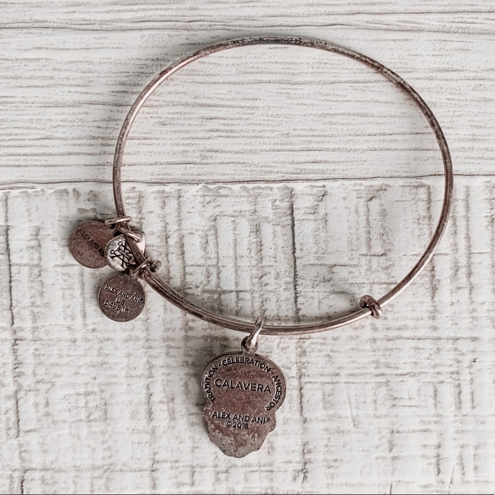 Alex & Ani Calavera Charm Rafaelian Silver Dia De Los Muertos Bracelet - Picture 7 of 8